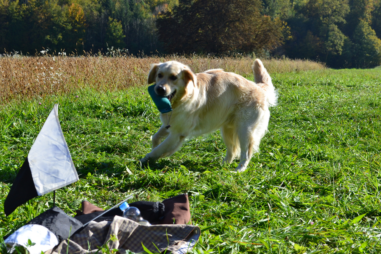 Seminar Jörg 19.10 011